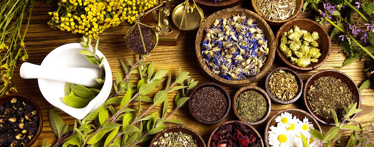 banner_home_terra_di_benessere